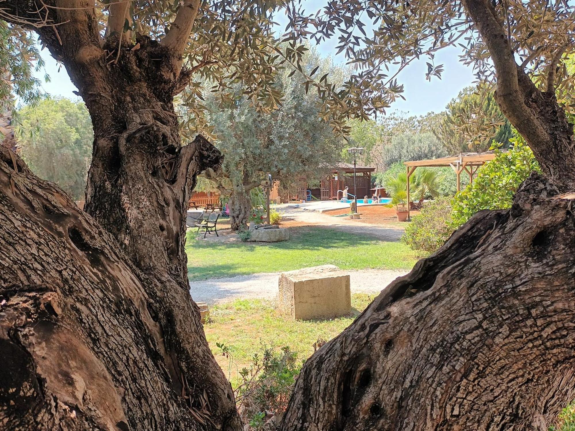 Entre Viejos Olivos Villa Benicolet Exteriör bild