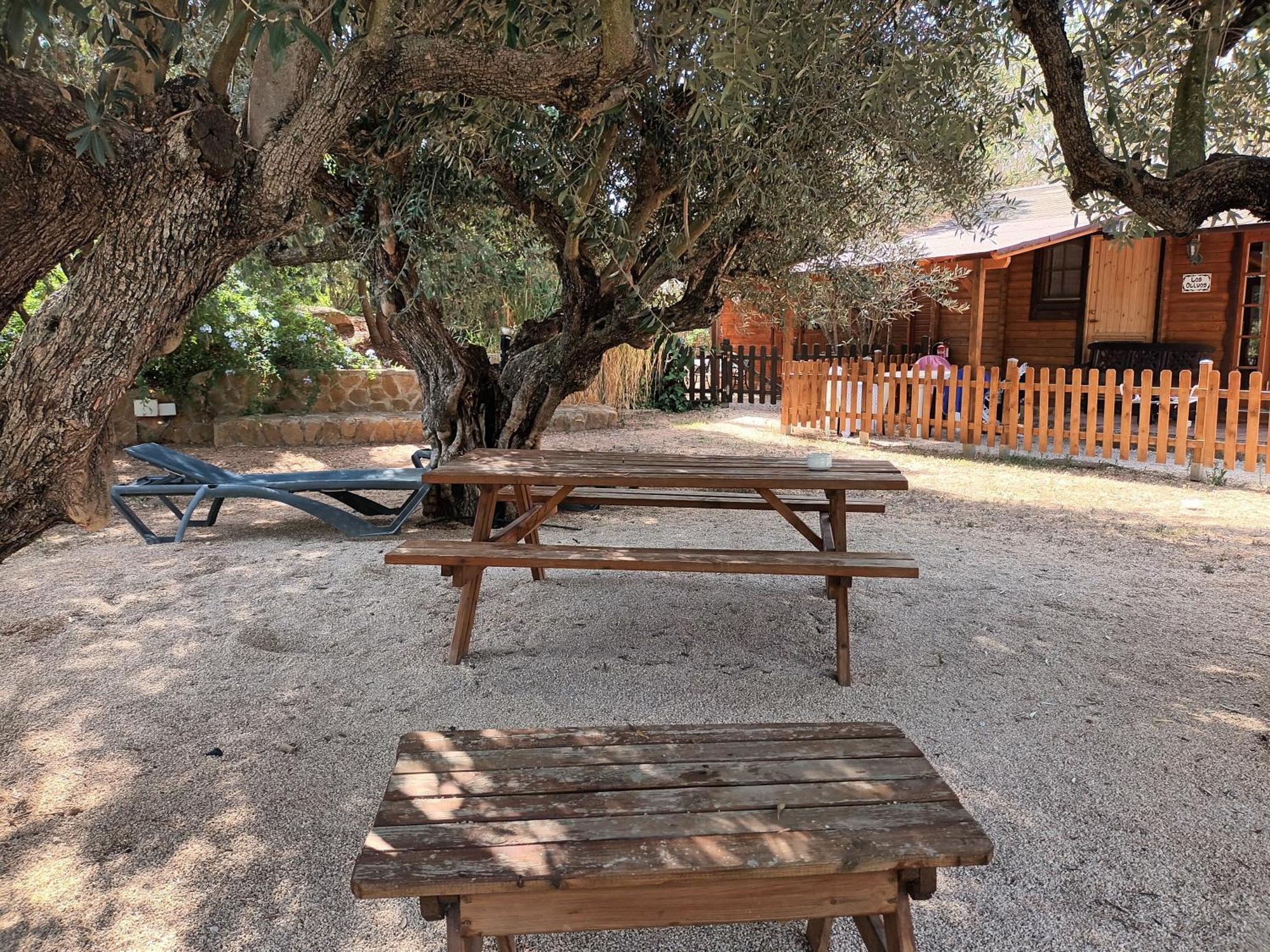 Entre Viejos Olivos Villa Benicolet Exteriör bild