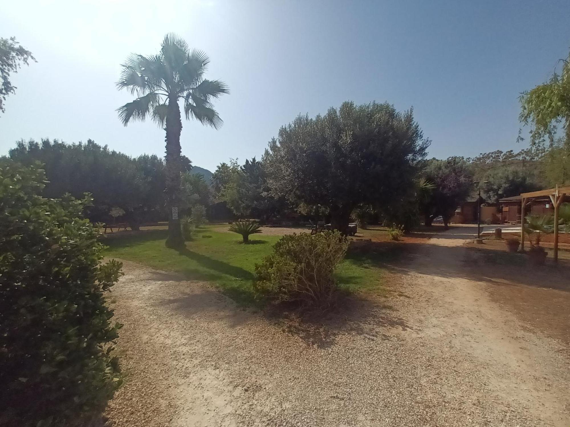 Entre Viejos Olivos Villa Benicolet Exteriör bild