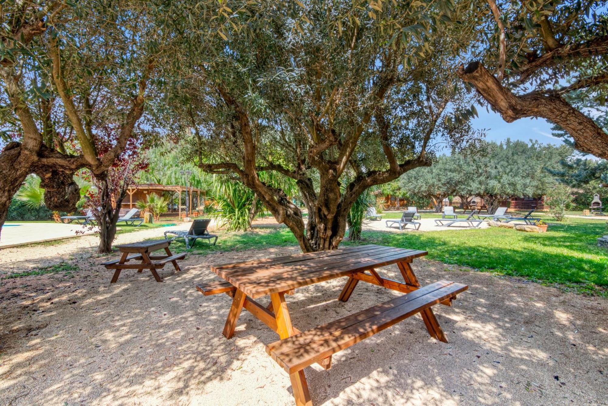 Entre Viejos Olivos Villa Benicolet Exteriör bild
